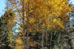 20171015_105605