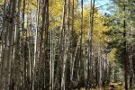 20171015_105635