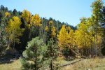 20171015_113017