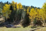 20171015_113040