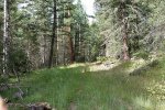 20170806_101829