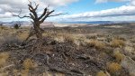 20161211_120653