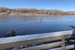 IMG_1726