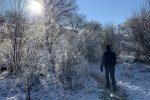 IMG_1762