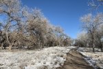 IMG_1772
