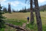 20170702_105804