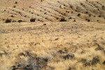 IMG_20140203_130926_022