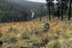IMG_2553