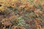 IMG_2563