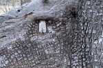 IMG_2777