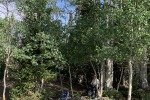 IMG_7567