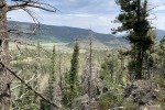 IMG_7570
