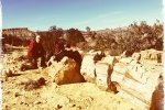 Coffee Break Setup on Petrified Tree Trunk