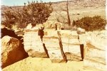 Petrified Log Sections near Dino Dig