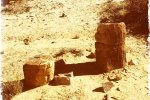 Petrified Log Sections on End Near Dino Dig