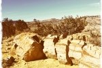 Petrified Log Sections - Bernalillito Mesa in Background