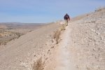 White Mesa Bike Trail-Dragon Back.Vince.2016-02-16.On the trail