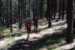 20170809_110059