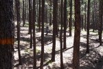 20170809_140927