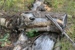 img_3916_51496662953_o