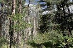 img_3917_51497366685_o