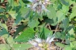 20210628_083038