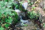 Spring cool