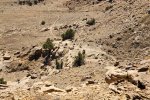 20260403_134341