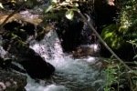 IMG_1929