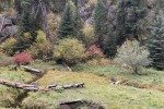IMG_2607