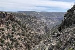 IMG_6253