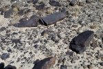 20180225_130603