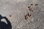 20180408_102756