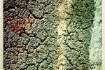 13 Strange soil surface