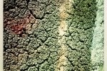 13 Strange soil surface