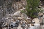 20170212_123926