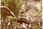 Rock Cairn in Tree