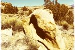 Dinosaur Head Rock