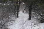 20160501_110631