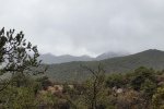 20150320_111438