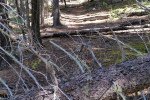 20170924_125539