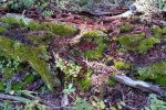20170924_130059