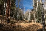 twin-cabins-11-19-17_24670874148_o
