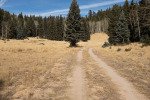 twin-cabins-11-19-17_38487144896_o