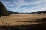 twin-cabins-11-19-17_38543134821_o