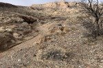 IMG_5338
