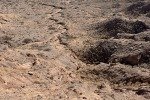 IMG_5356