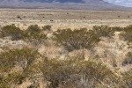 IMG_5357