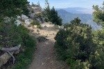 IMG_0858