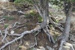 IMG_0864